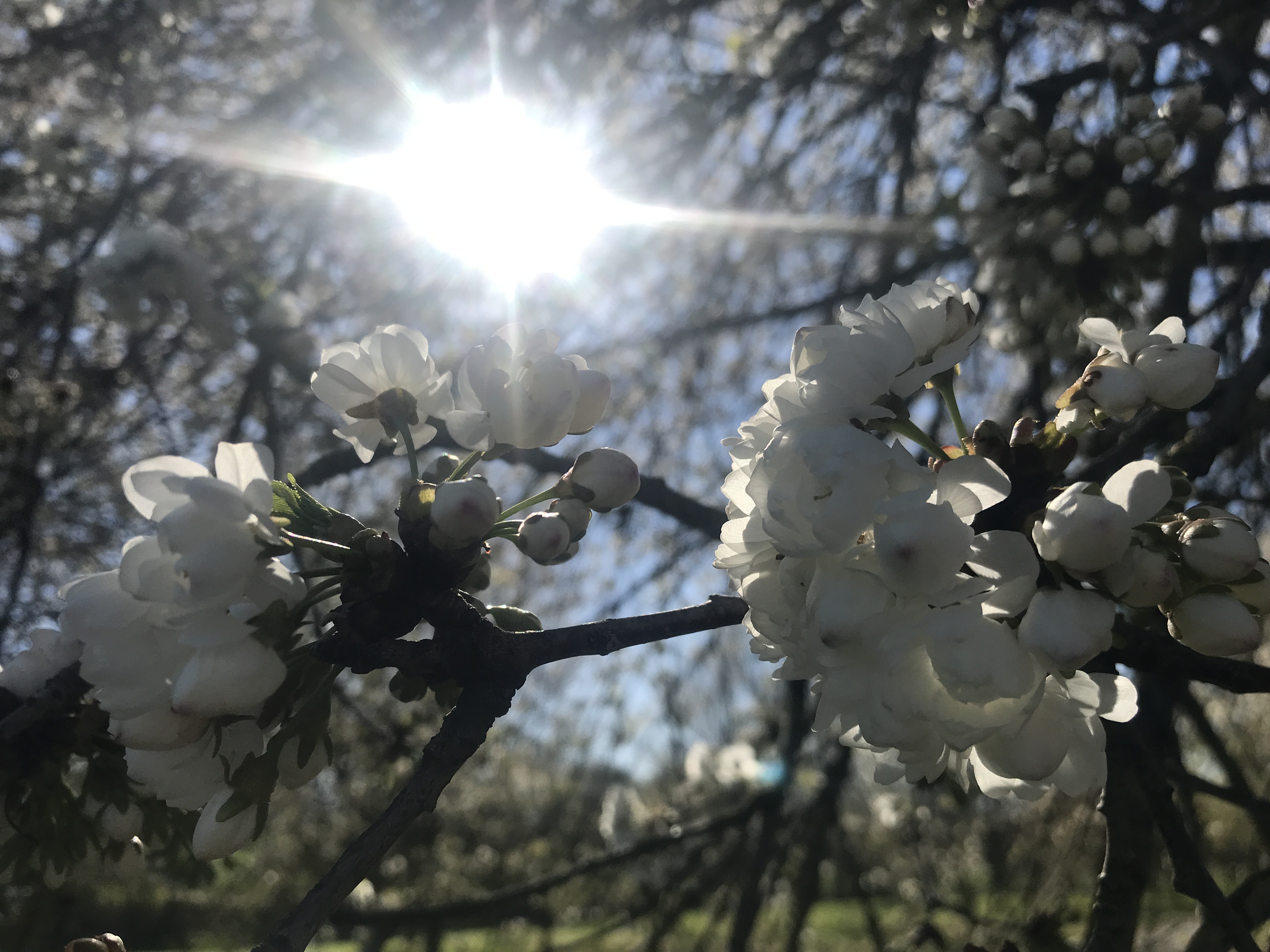 Mein Wort zum heutigen Tag